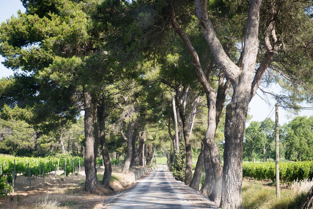 Chateau Canet Villa Rustiques Exterior photo